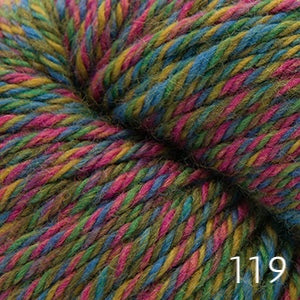 220 Superwash Aran Wave by Cascade (aran)