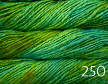 Load image into Gallery viewer, Malabrigo Rasta (super bulky)
