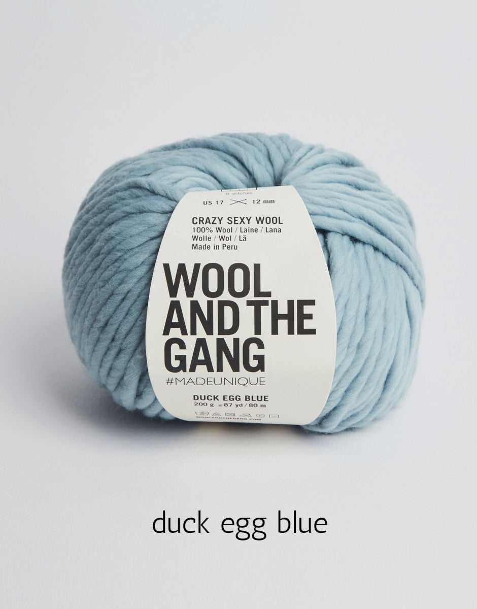 Crazy Sexy Wool by Wool and the Gang (super bulky)