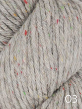 Load image into Gallery viewer, Eco Tweed Chunky by Ella Rae (bulky)
