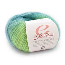 Load image into Gallery viewer, Tufty Color by Ella Rae (heavy worsted)
