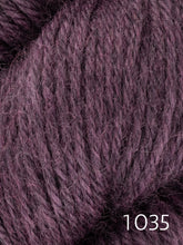 Load image into Gallery viewer, Fleece Bluefaced Leicester by West Yorkshire Spinners  (dk)
