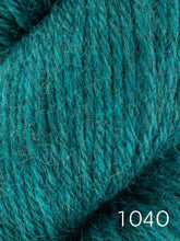 Load image into Gallery viewer, Fleece Bluefaced Leicester by West Yorkshire Spinners  (dk)
