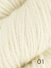 Load image into Gallery viewer, Fleece Bluefaced Leicester by West Yorkshire Spinners  (dk)
