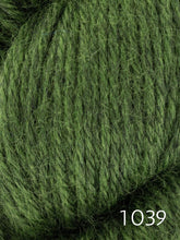 Load image into Gallery viewer, Fleece Bluefaced Leicester by West Yorkshire Spinners  (dk)
