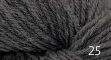 Load image into Gallery viewer, Prairie Spun by Brown Sheep Company (dk)
