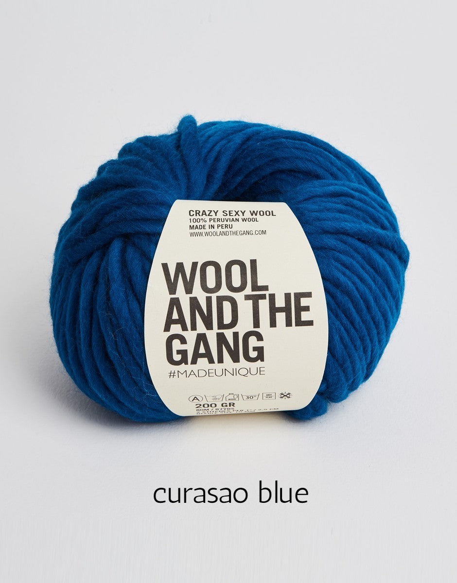 Crazy Sexy Wool by Wool and the Gang (super bulky) – Heavenly