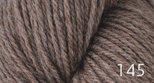 Load image into Gallery viewer, Prairie Spun by Brown Sheep Company (dk)
